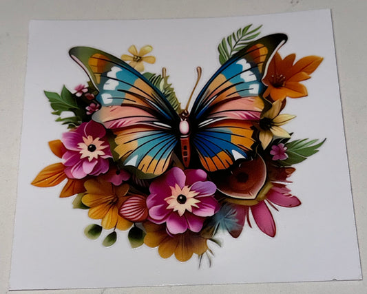 Butterfly3