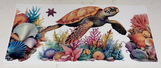 Sea Life 6