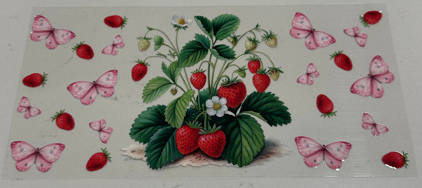 Strawberry Plant