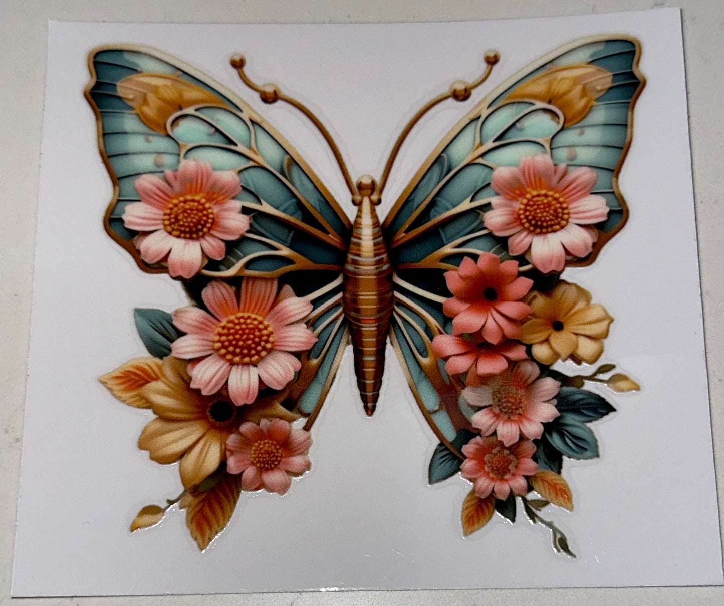 Butterfly4