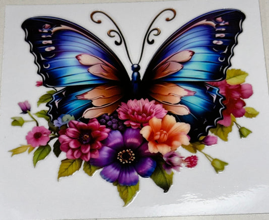 Butterfly6