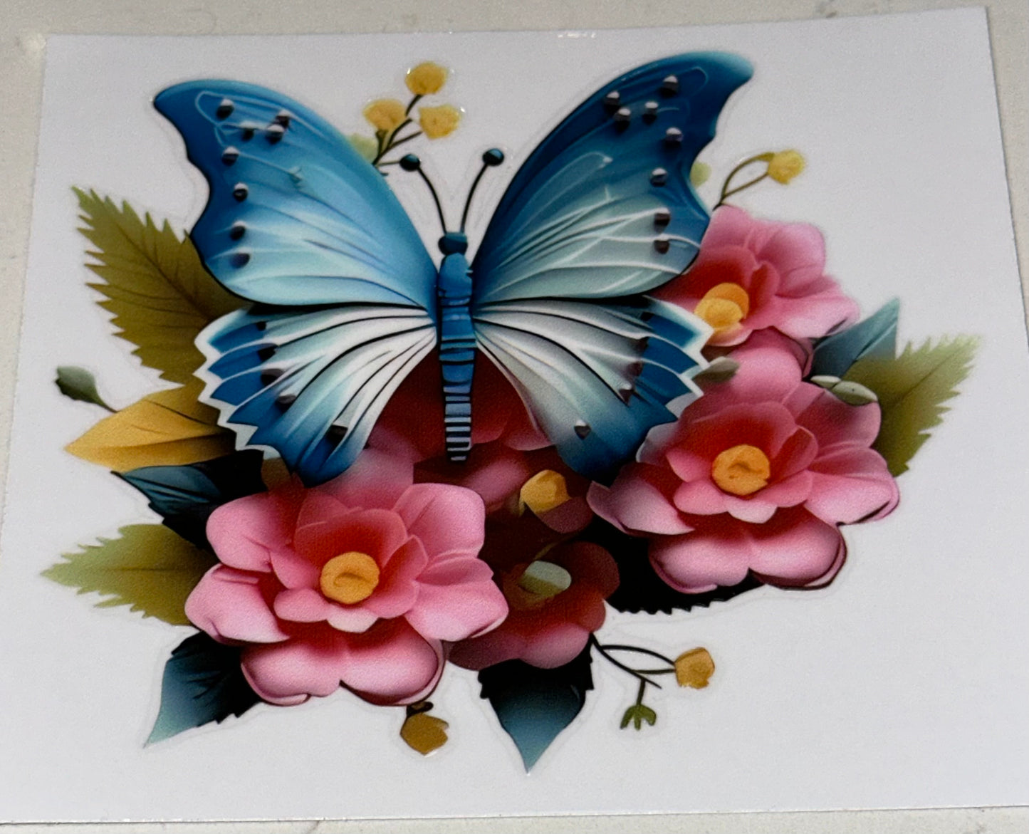 Butterfly5