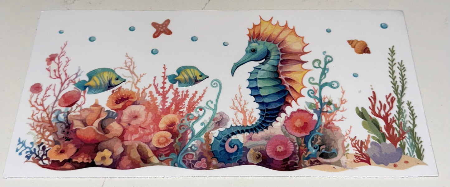 Sea Life 7