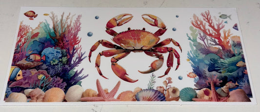 Sea Life 4